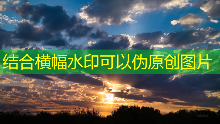 <strong>室内健身器材的管理</strong>