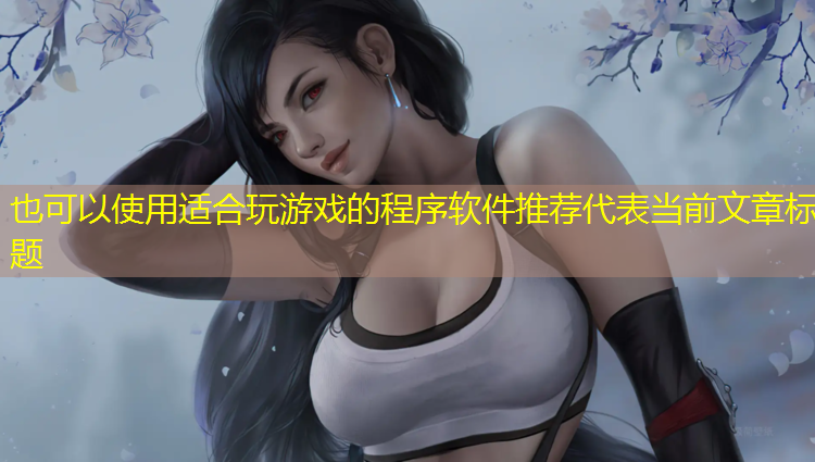 适合玩游戏的程序软件推荐