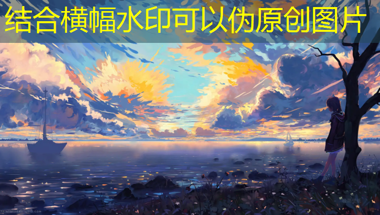 米乐：有什么室内的健身器材