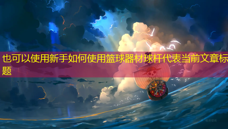 新手如何使用篮球器材球杆