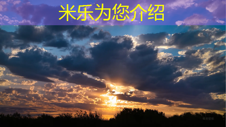 米乐m6官网登录入口：2020塑胶跑道成本