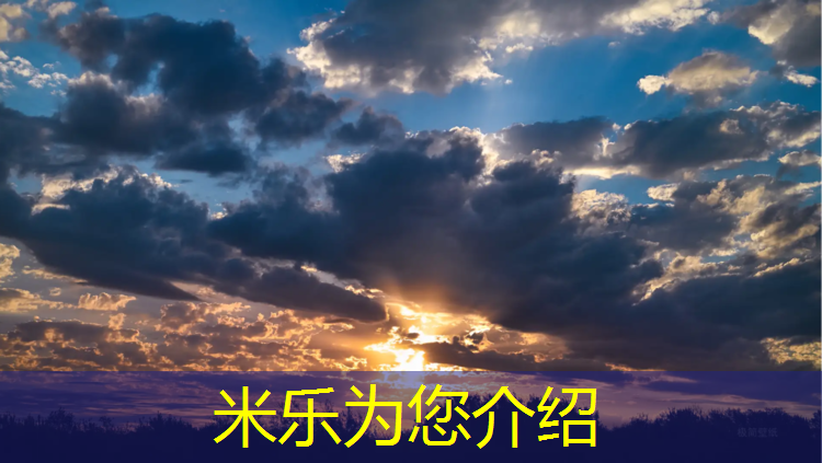 <strong>米乐：玉林透气塑胶跑道</strong>