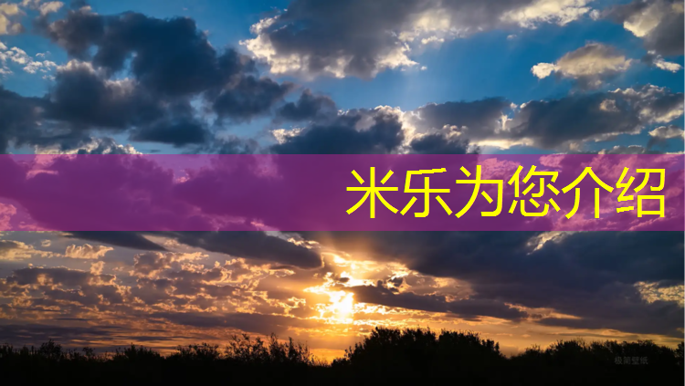 <strong>米乐m6官网登录入口：泰和预制型塑胶跑道</strong>