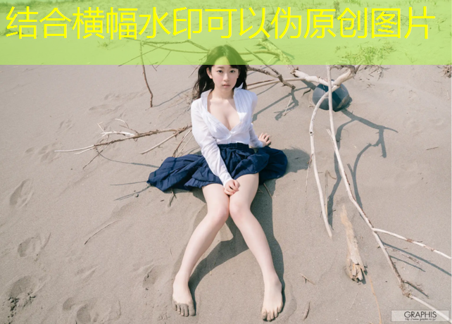 贴纸过家家游戏程序